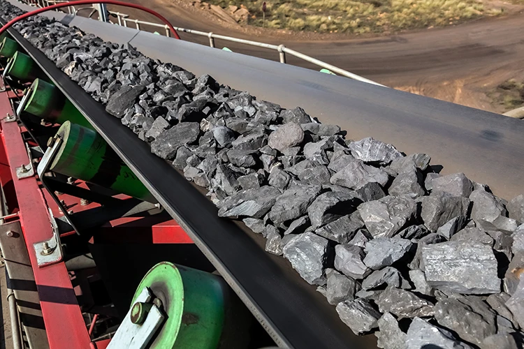 Hdg Carbon Steel OEM Conveyor Belt Side Guide Rollers