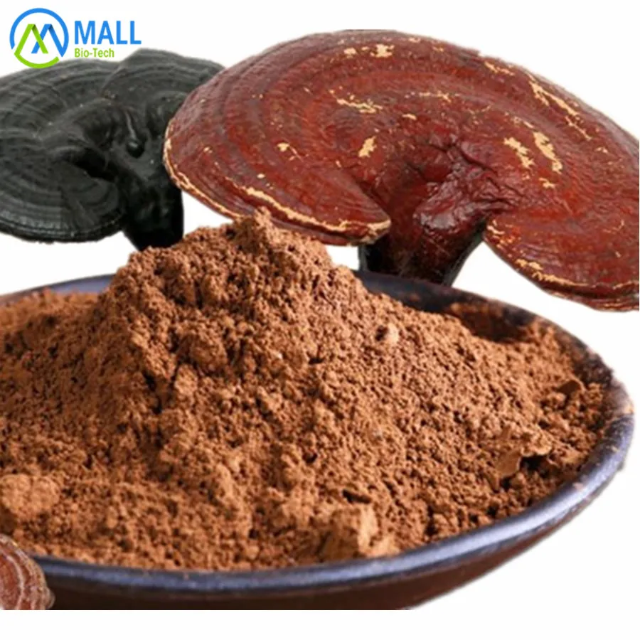 Reishi mushroom extract 6.jpg