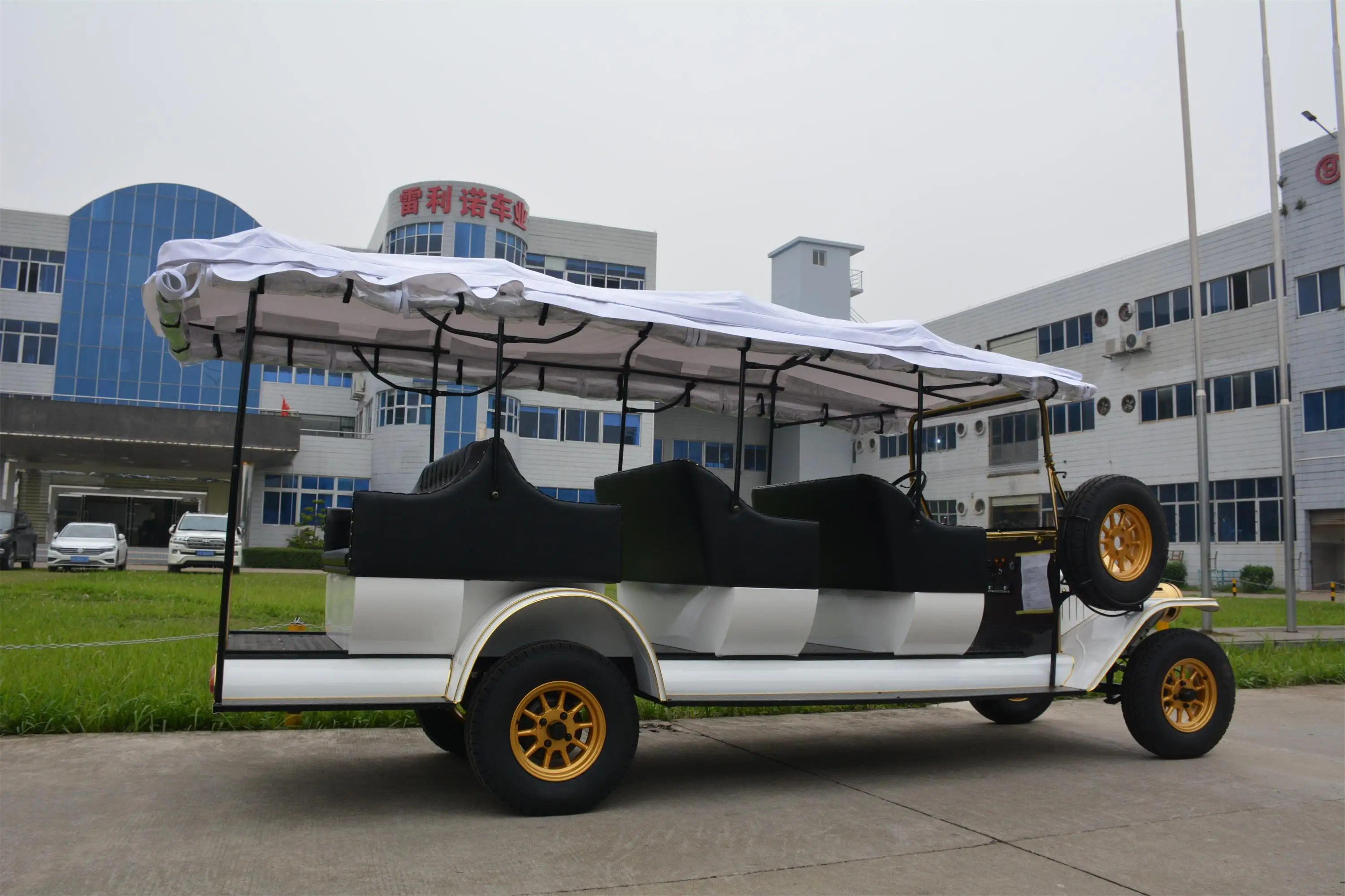 Rariro 9-12 seats electric metal body vintage buggy cart for Club, Golf Course, Hotel, School