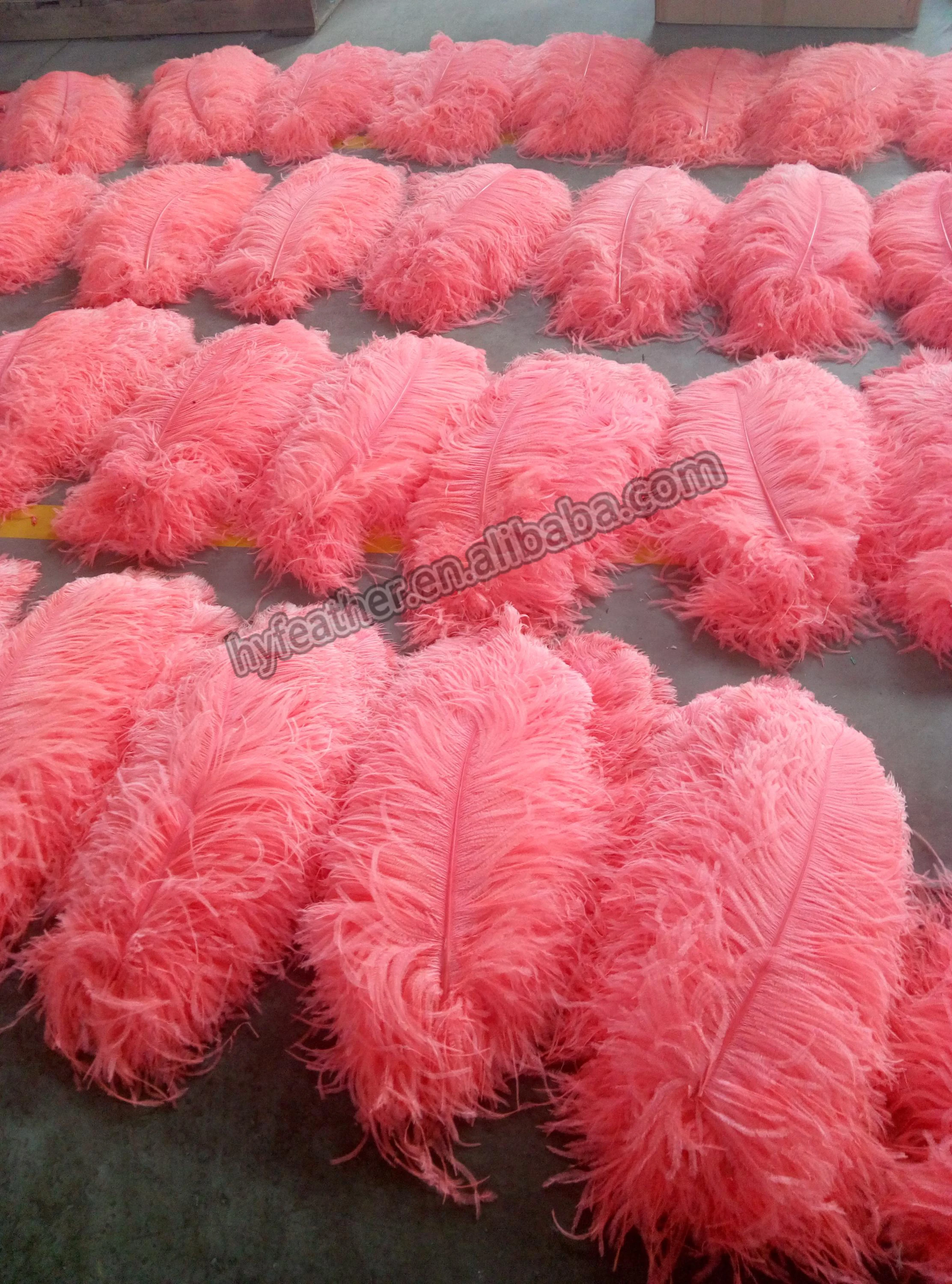 5560cm Wholesale Feather Crafts Supplier Promotional Cheap White Dyed