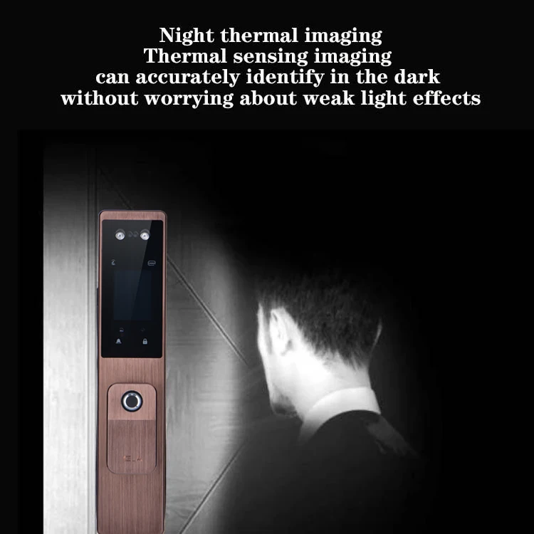 Face Recognition Password Lock Palmprint Recognition Door Lock Household Anti-theft Electronic Lock