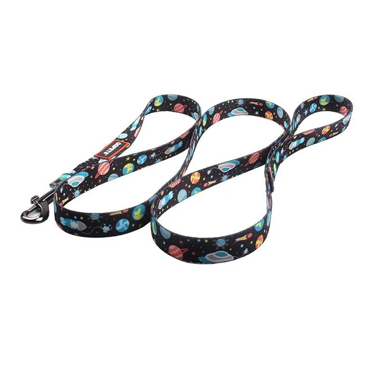 Dog collar leashes-3