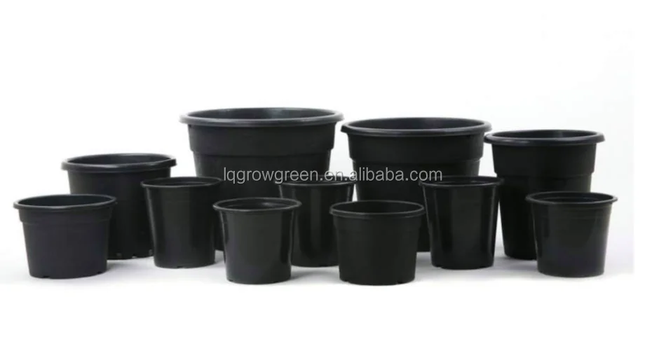 gallon pot (42).png