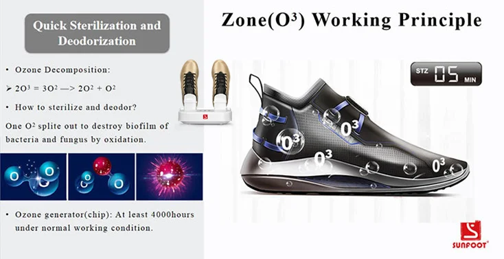 electric shoe dryer and deodorizer