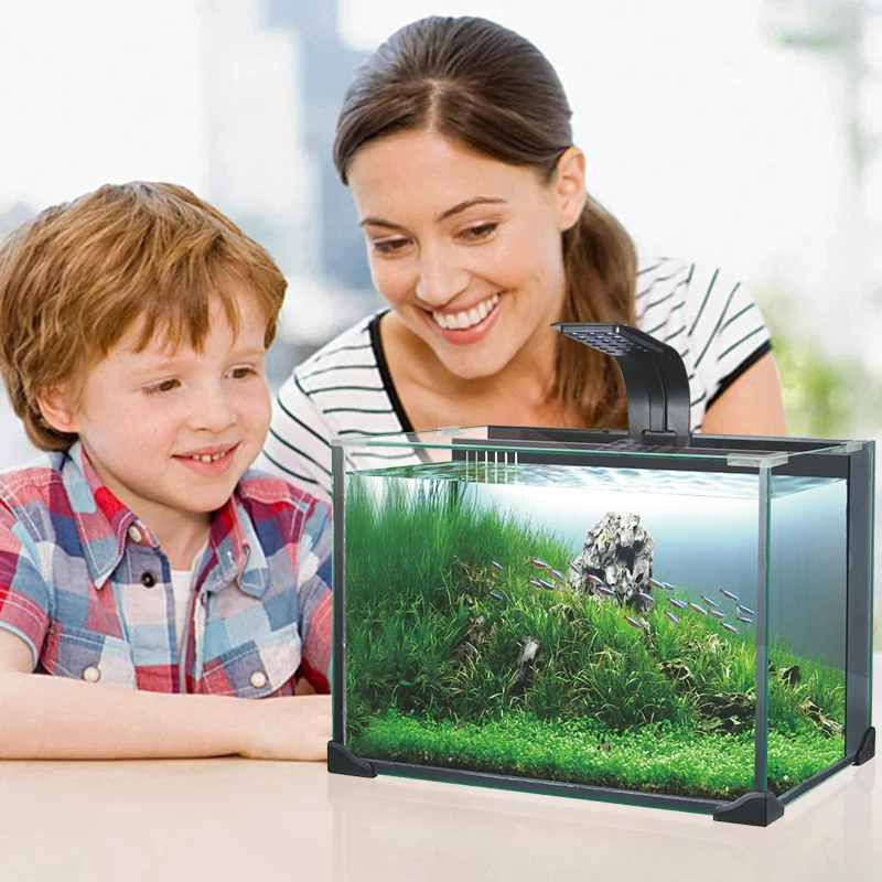 Fish Aquarium Tank,