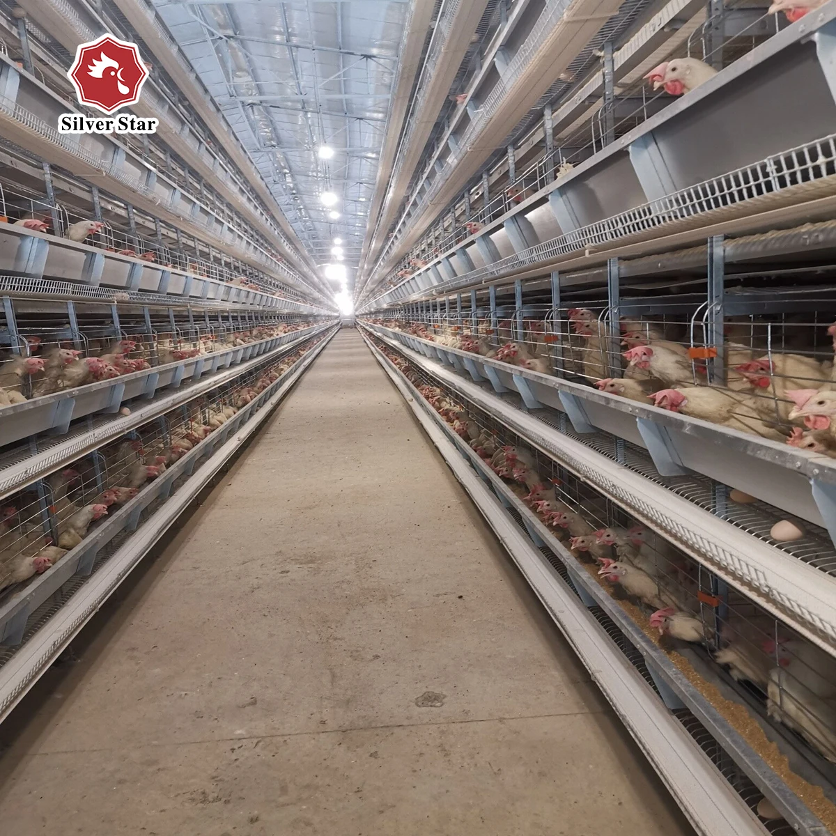 Automatic Chicken Cage Feeding System Battery Layer Chicken Cage System
