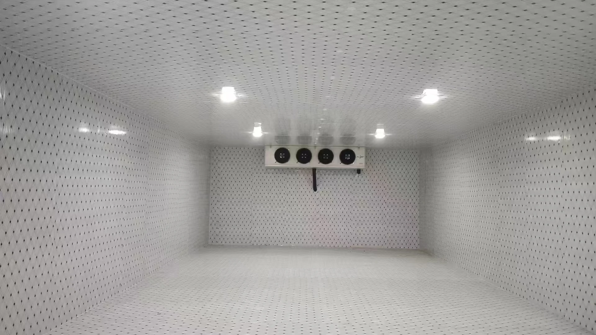 Chamber with Bitzer Compressor, 220-480V, 2kw - detail 12