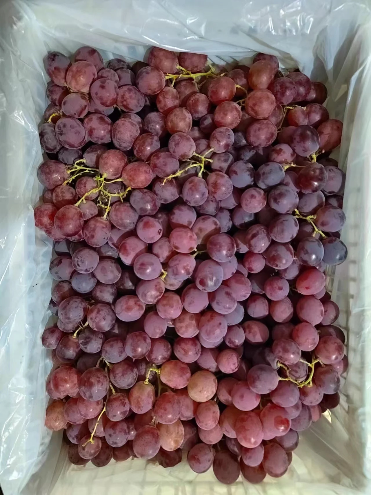 Fresh Red Globe Grapes Chinese Red Grapes Red Globe Grape Buy High