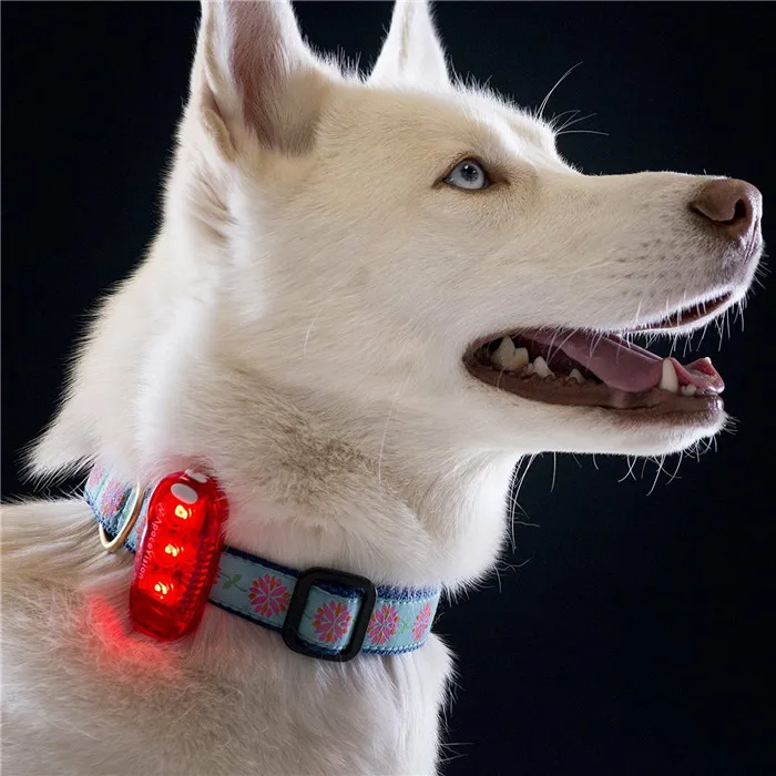 safety clip light (22)