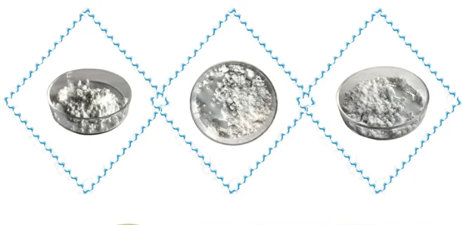 paste-pic-dp_uuid_liroe