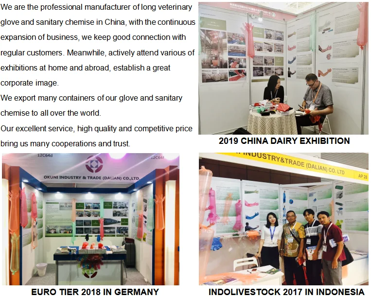 exhibitions.png