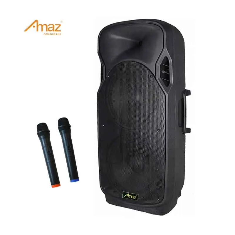 15 inch trolley speaker
