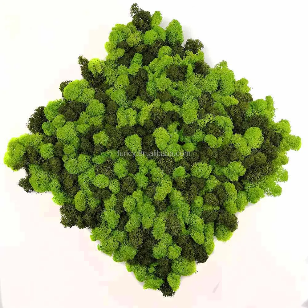 Wholesale Preserved Moss Wall Decoration Modern Green Moss Wall