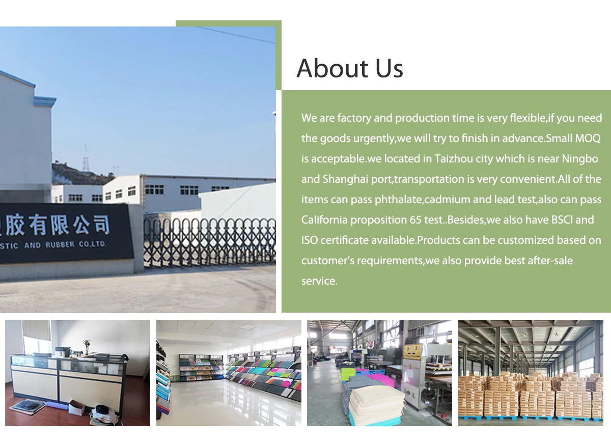 Taizhou Shengjie Technology Co., Ltd. pet mats, shower mats