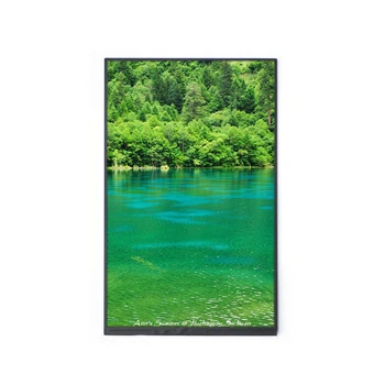 800x1280 Pixels Ips 10 1 Inch Mipi Dsi Lcd Display View 10 1 Inch Mipi Dsi Lcd Display Formike Product Details From Formike Electronic Co Ltd On Alibaba Com