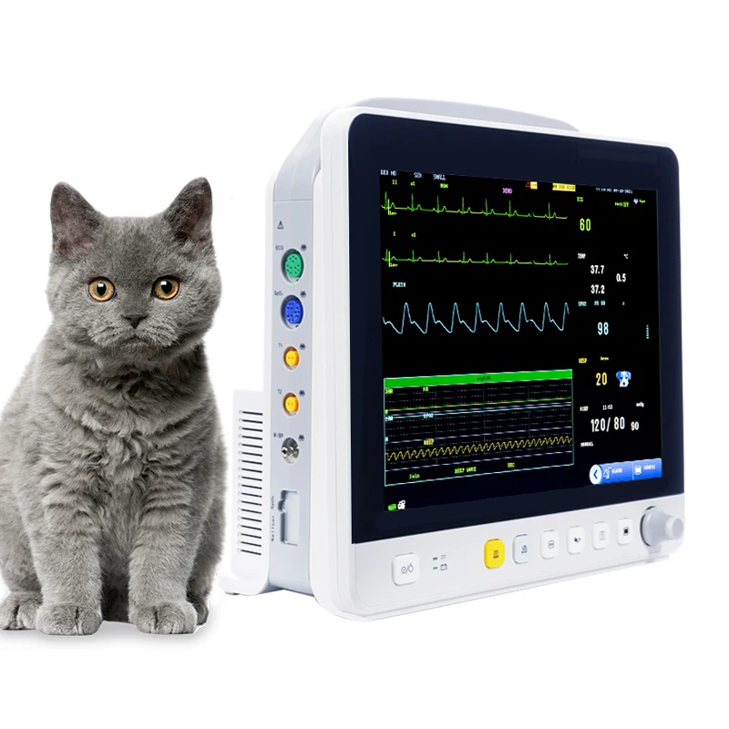 Yonker 12 Inch Veterinary Vital Signs Monitor For Pets Clinics And Vet