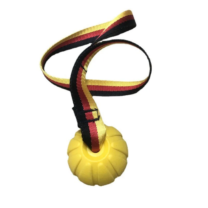 Single Head EVA Rope Pet Toy Ball Bite Resistant Floating Water Training Knotted Supplies for Dog Use