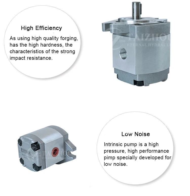 Hydromax Kcl Stainless Steel Hgp Series Small Oil Pump,Hgp111a Hgp