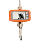 SF-923 digital weight machine 1 ton heavy duty weighing crane scale