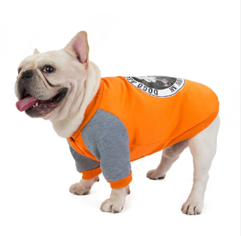 cool dog clothes