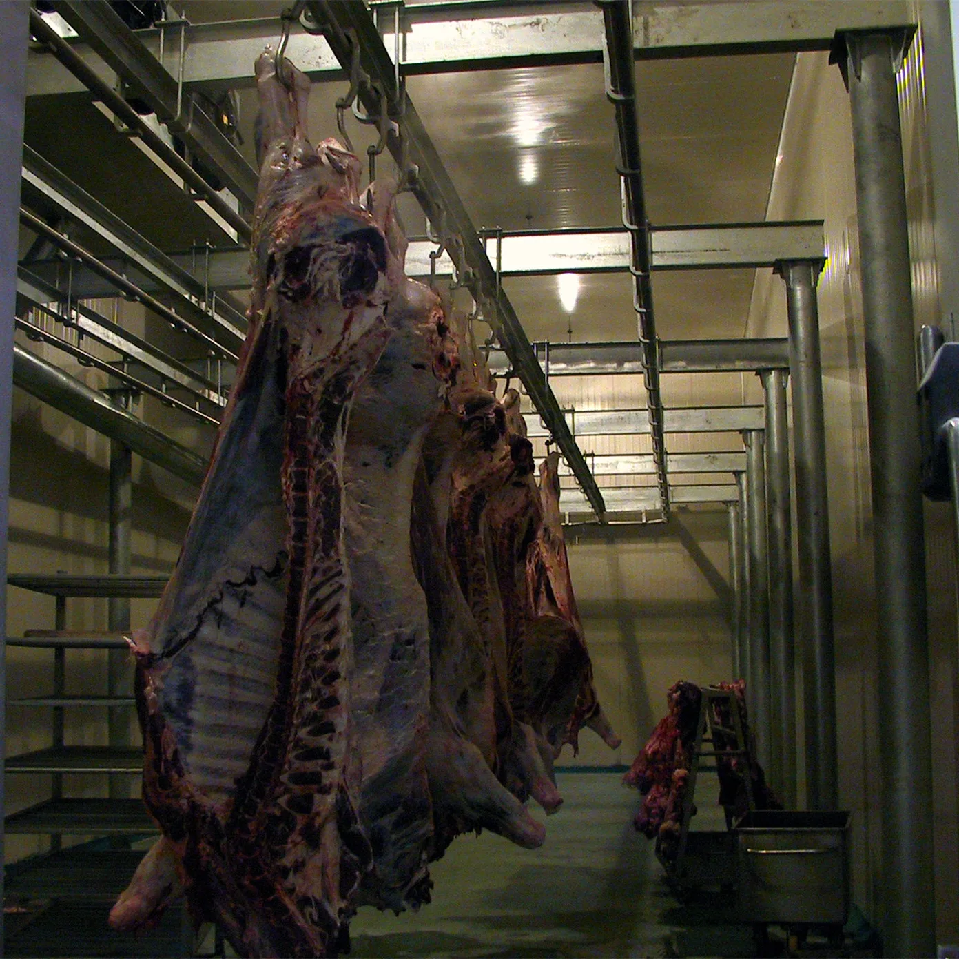ritual_cattle_slaughterhouse_equipment_for_cow_halal_turnkey_slaughtering_abattoir_plant