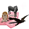 High-quality Children's Enhanced Interesting Learning and Memory Reception Card 2019 4D flashcards