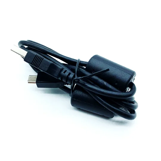 Usb A Type Male To Mini Usb B Male 2.0 Cables With Ferrite Cores Black