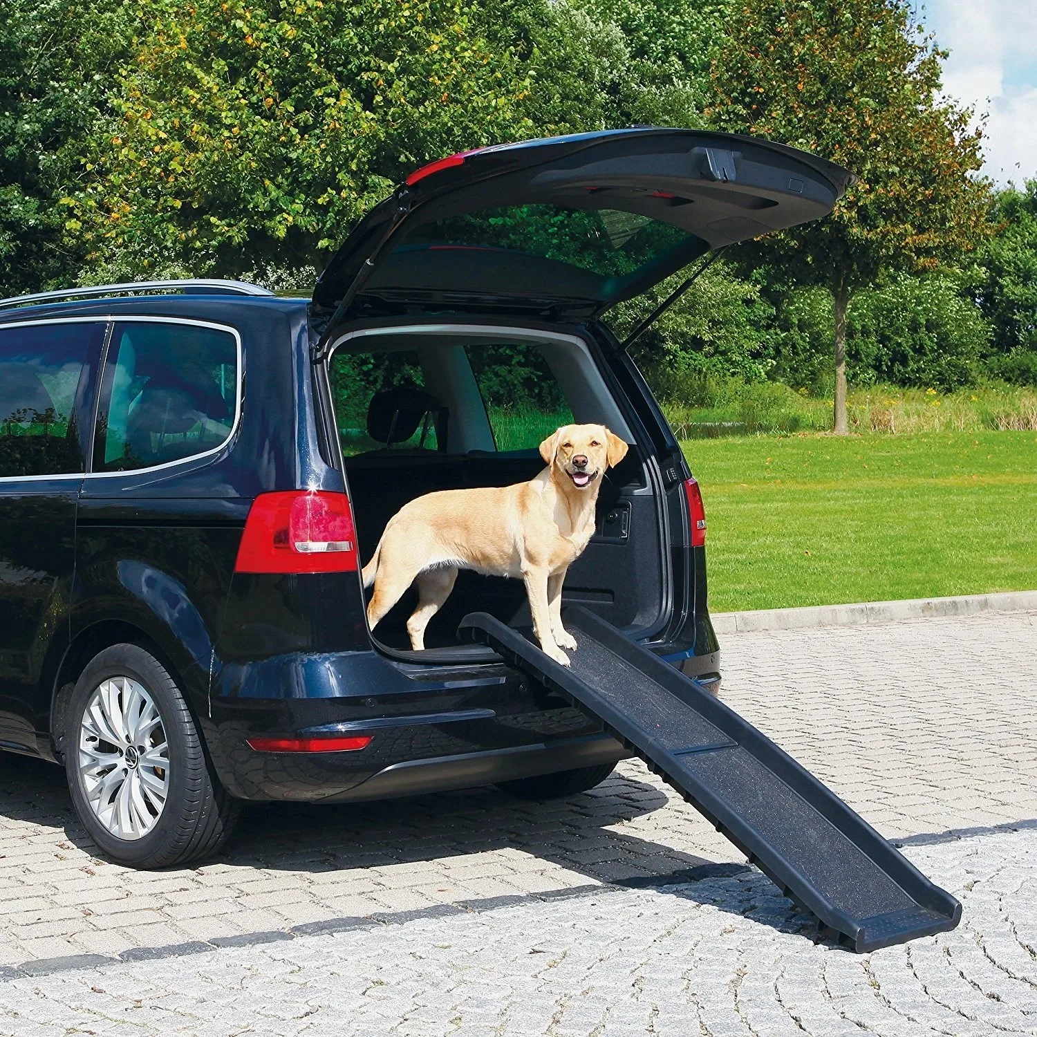 Rampa Per Cani Pieghevole Per Auto - Supporta Fino A 90 Kg, Antiscivolo, Nero - Foto 11