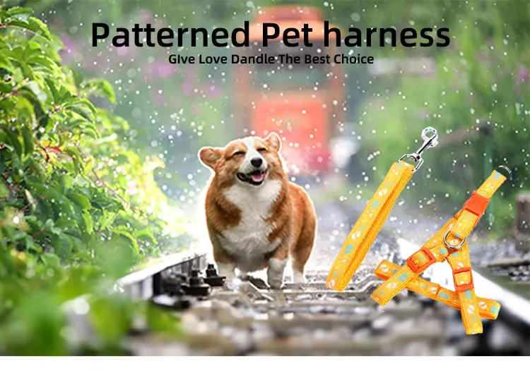 High Quality Personalized Luxury Fashion Pet Leash And Rabbit Harness