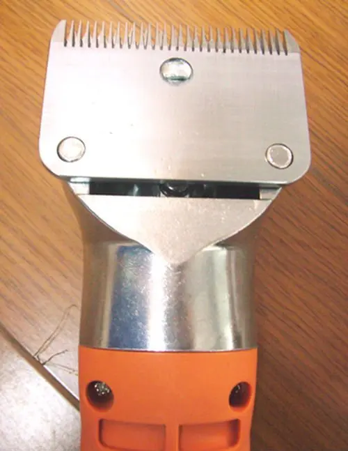 Horse clipper, View pet clipper, GTS Product Details from Ningbo Shenjian Electrical Appliance