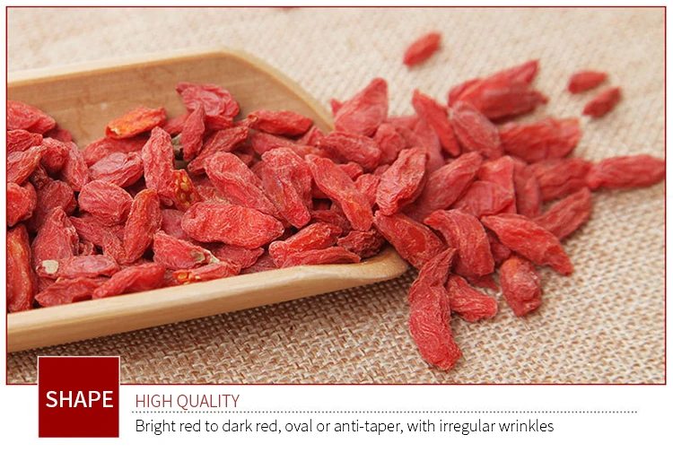 High Quality 100% Pure Natural Fresh Dried Organic Chinese Gouqi Berry Organic/ Lycium / Wolfberry