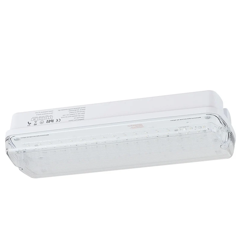 Outdoor Indoor LED Emergency Non Bulkhead Maintained Fire Exit IP65 Sign Light