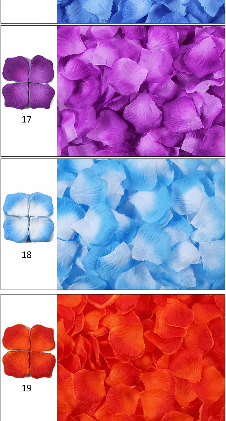 Petal15.jpg