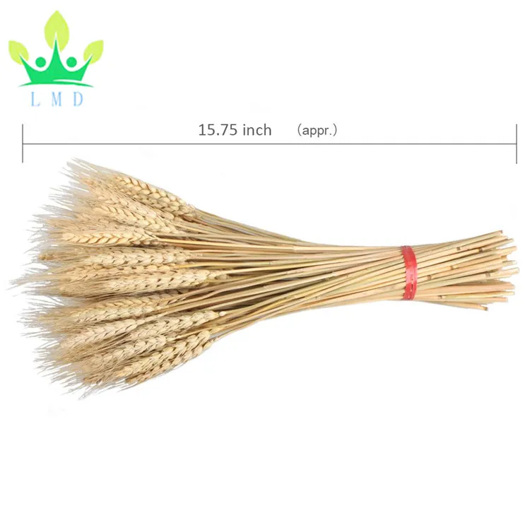 Dried Wheat Stalks,100 Stems 100 Natural Wheat Decor For Home Kitchen