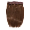 Hot Sale Tangle Free 100% Remy Human Hair Double Drawn Fish Wire Hair Halo Hair Extensions
