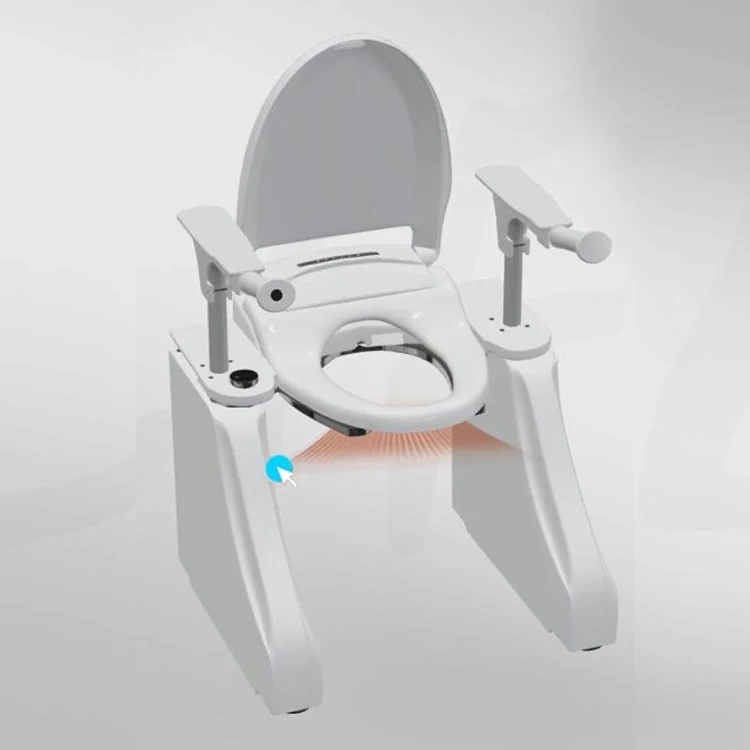 Smart Toilet Lift With Warm Air Drying And Automatically Water Washing