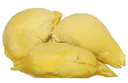 durian 5.jpg