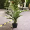 Hot Sale Bonsai Artificial Hawaii Kwai Plant Tree Customized order For Home Decoration