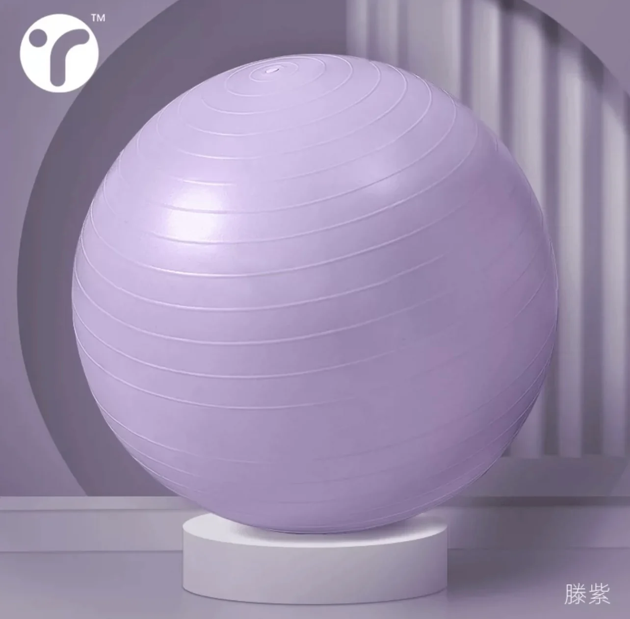 Exercise Ball Chair For Pregnancy & Physical Therapy Workout Fitness