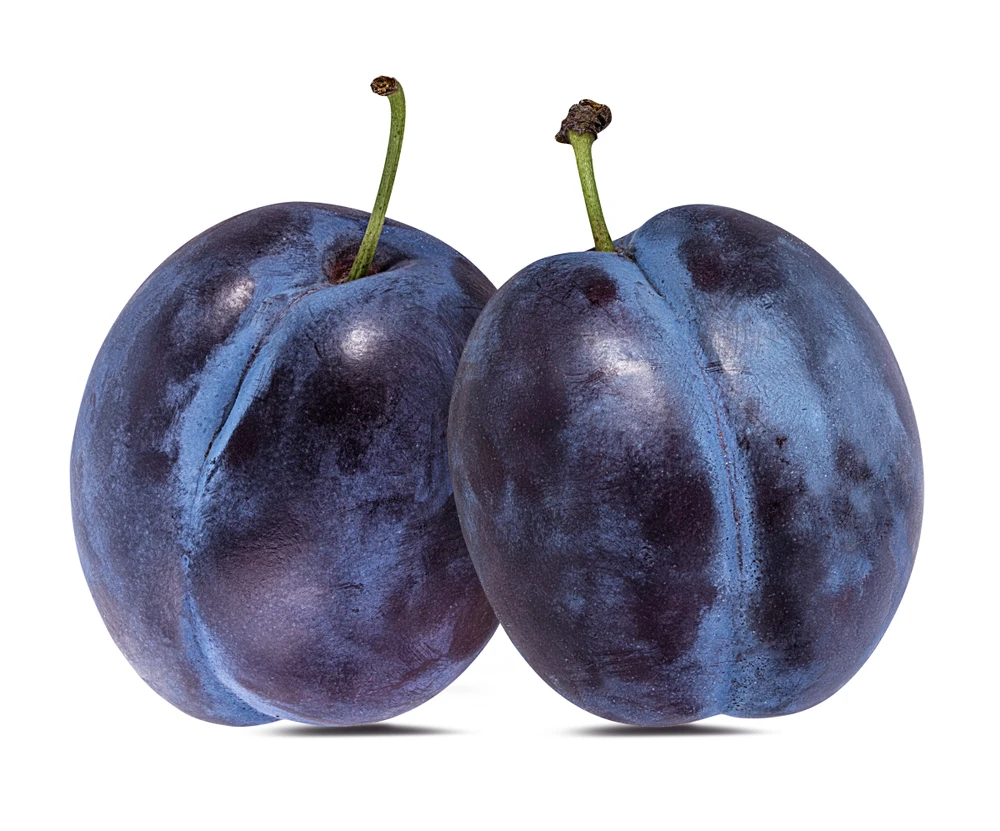 fresh sour plums for sale plum fresh fruit plum fresh for sale