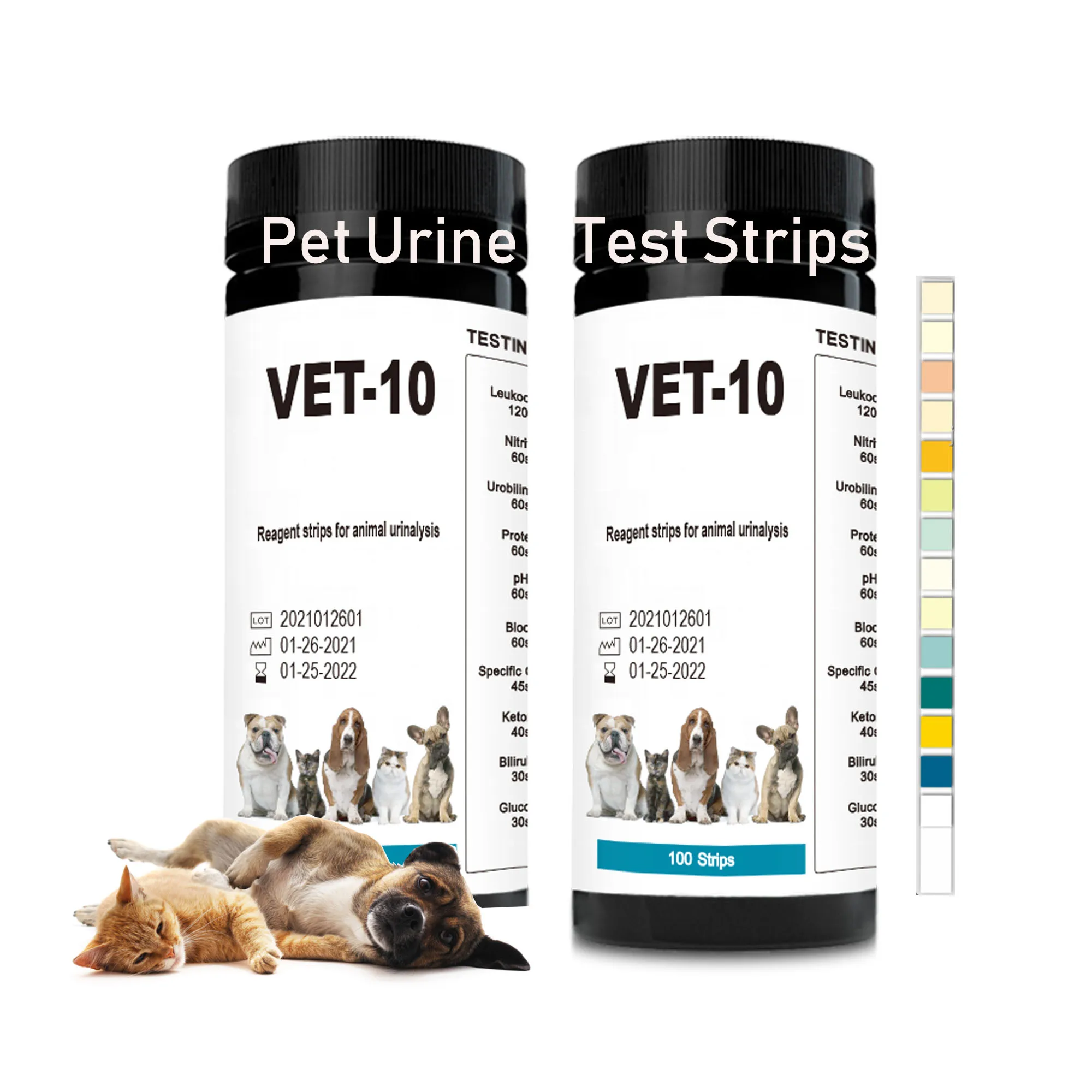 10 In 1 Vet Urine Test Strips 100pcs Urine Calcium Test Strips Urine