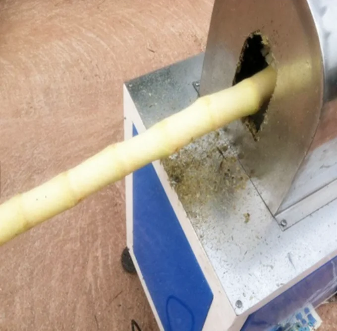 工厂价格自动甘蔗削皮器切片机甘蔗去皮切割机