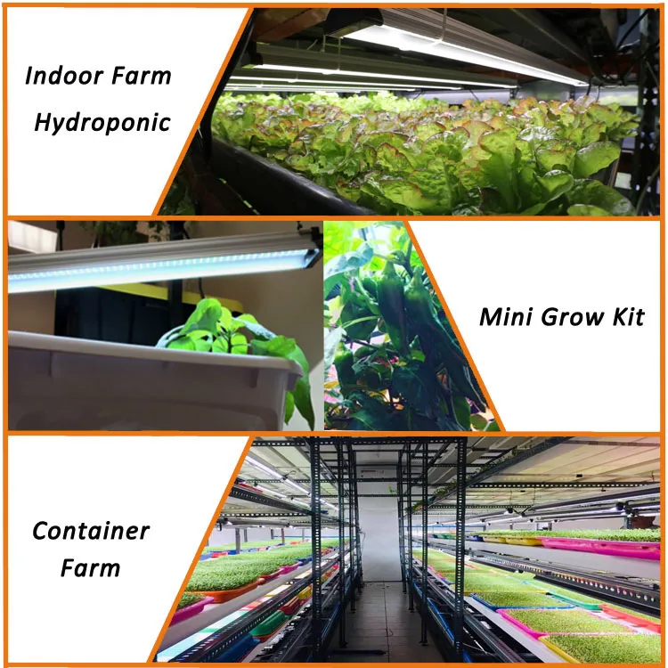 High PPFD EDK III 80 Watts hydroponic 7 bar full spectrum led grow light indoor plants