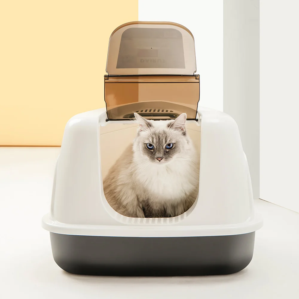 Indoor Cat Toilet