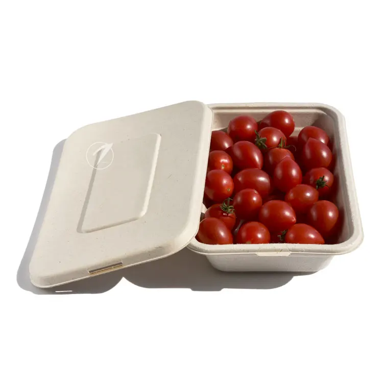 Hot selling no leaking bagasse disposable biodegradable food container