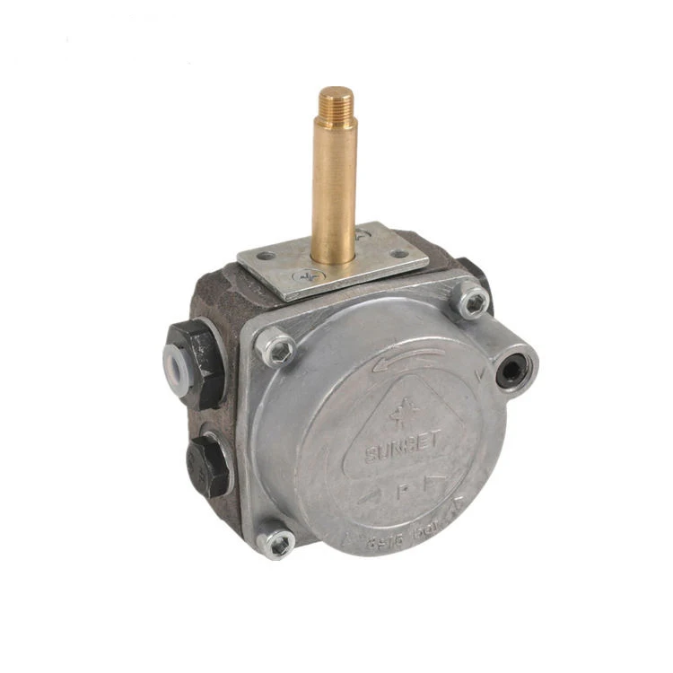 Oil Pump Oil Burner Burner Spare Parts Rbl Brl Pump China Factory