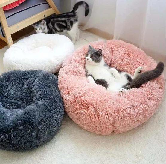 deluxe cat bed