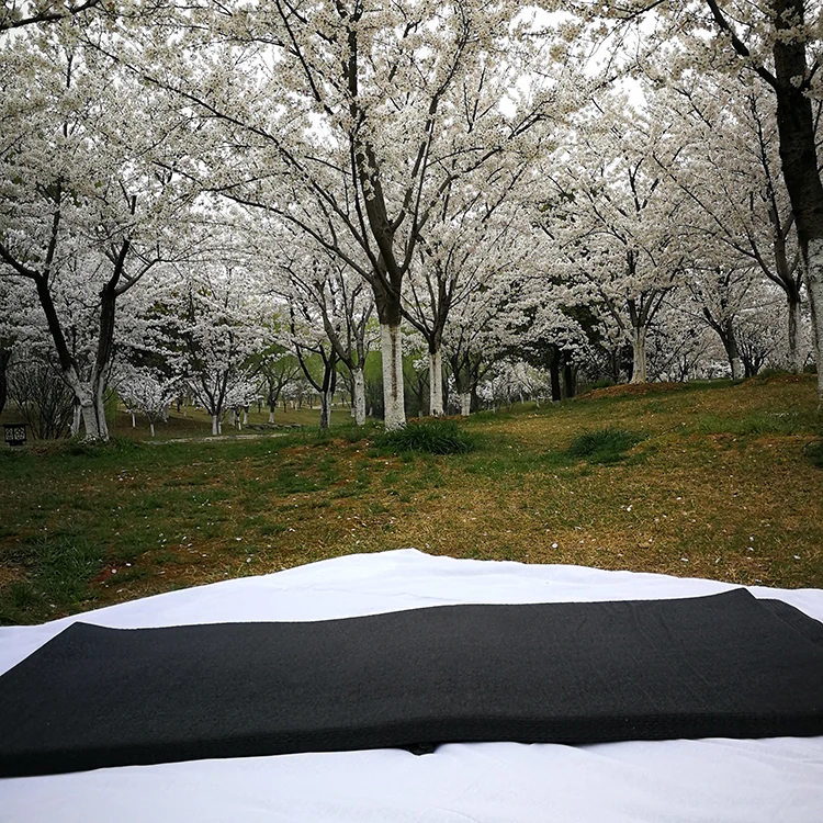 sleep well folding mattress