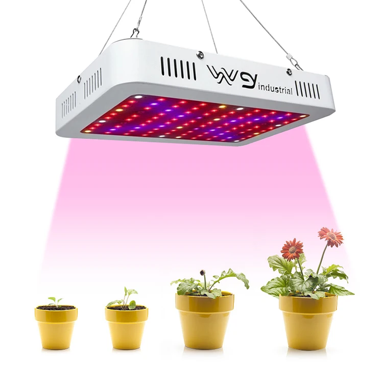 Factory Price Diy Cob Crees Epistar Chips 1000W Led Grow Light With High Quality