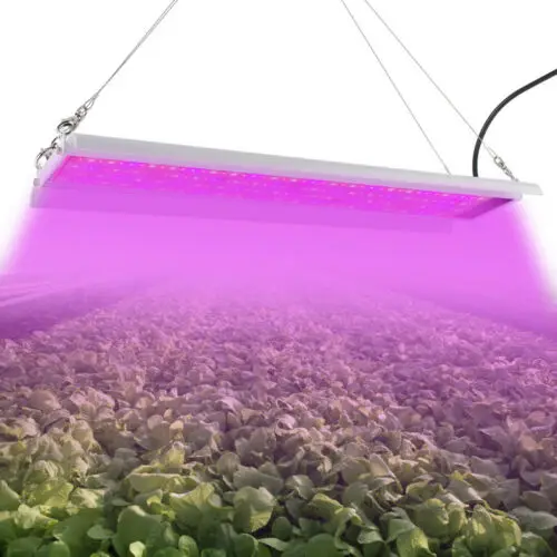 Greenhouse Grow Lamp Hydroponic Light for Indoor Plant full Spectrum LED Grow Lights 80W